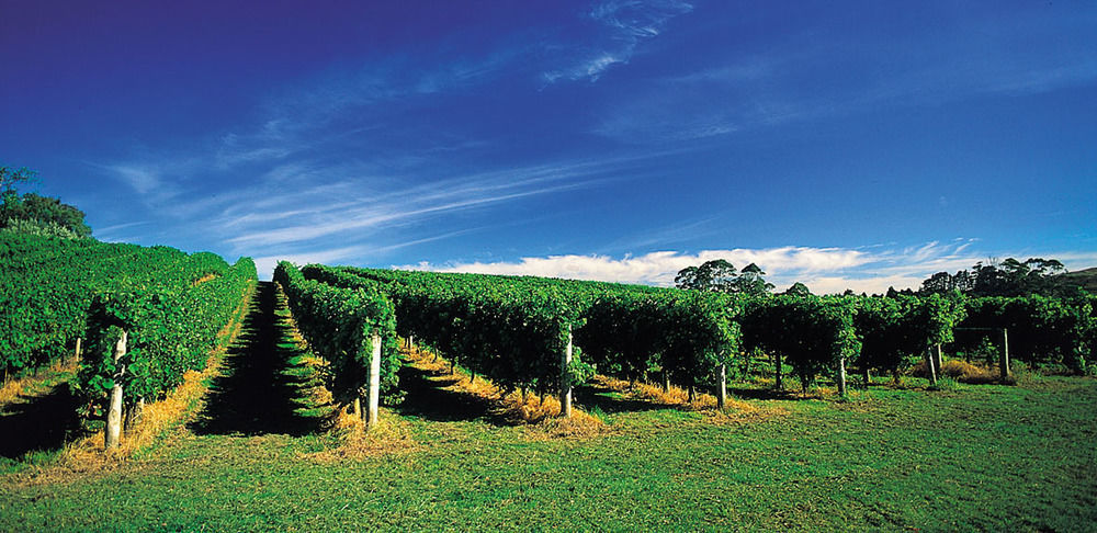Vineyard Cottages - Kumeu Waimauku Bagian luar foto