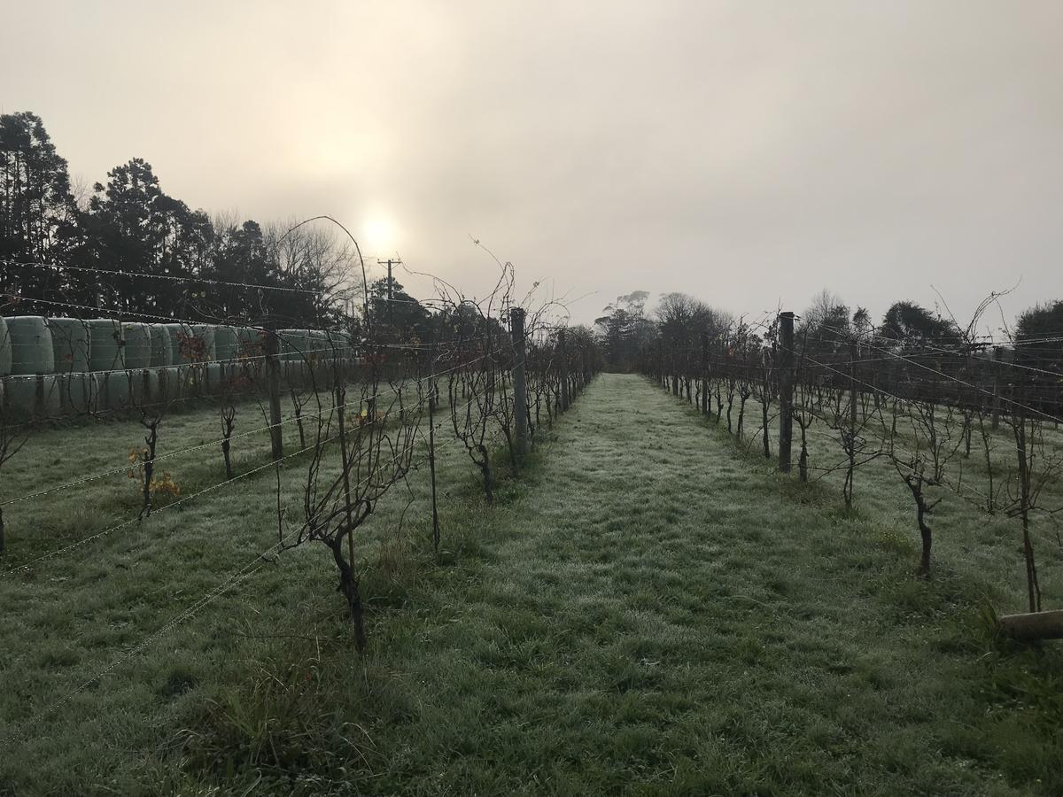 Vineyard Cottages - Kumeu Waimauku Bagian luar foto
