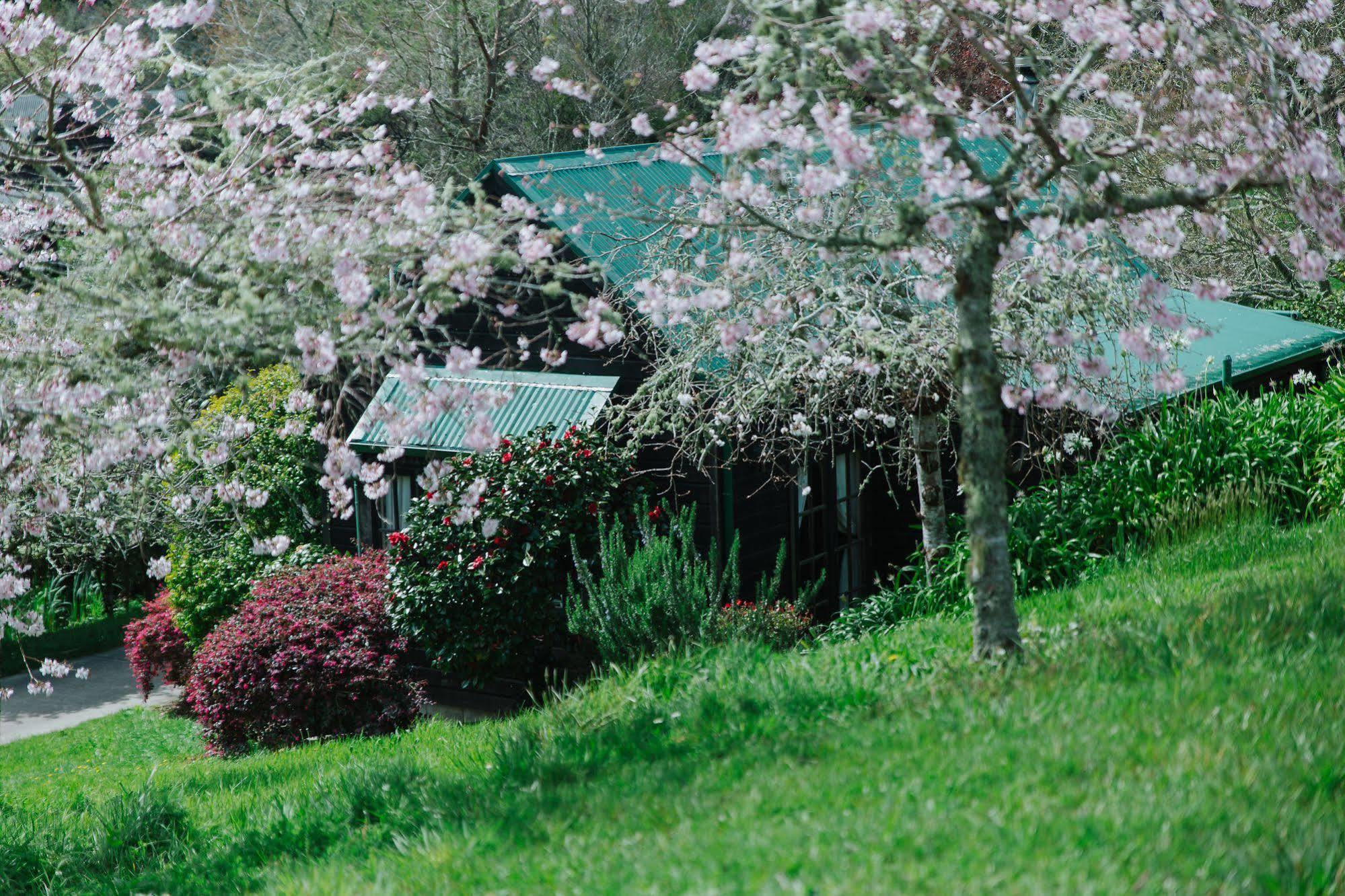 Vineyard Cottages - Kumeu Waimauku Bagian luar foto